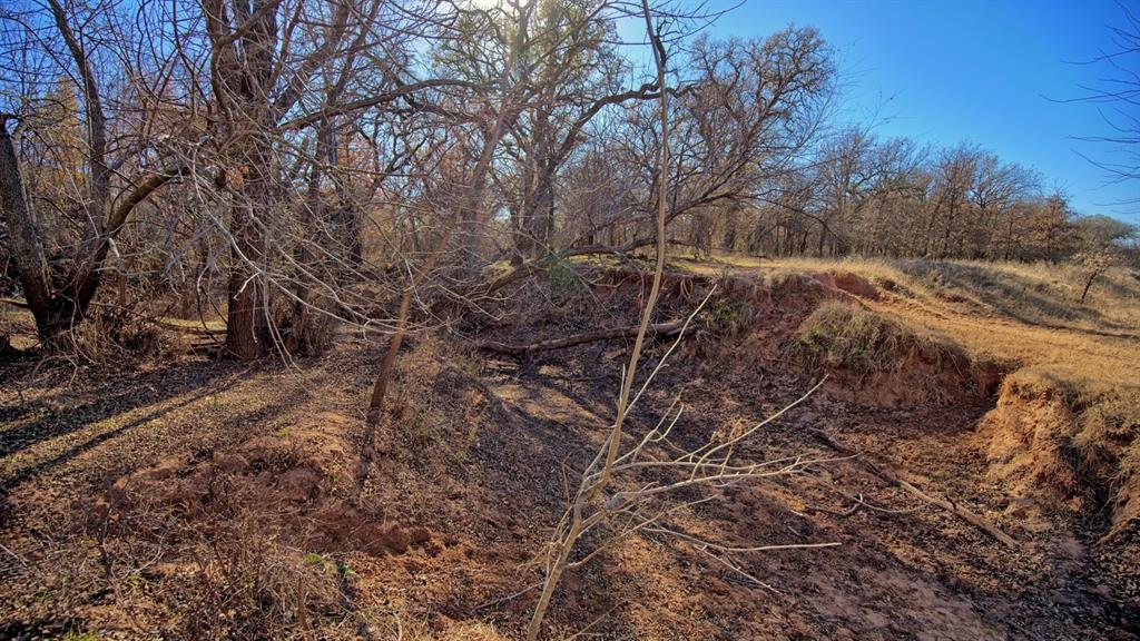 AB 3 ANGELINA CSL BLK 111 FREY UND 13 INT IN - Farm