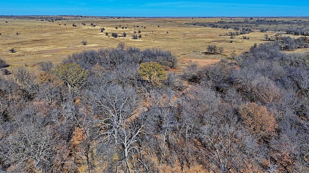 AB 3 ANGELINA CSL BLK 111 FREY UND 13 INT IN - Farm