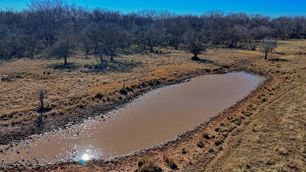 AB 3 ANGELINA CSL BLK 111 FREY UND 13 INT IN - Farm