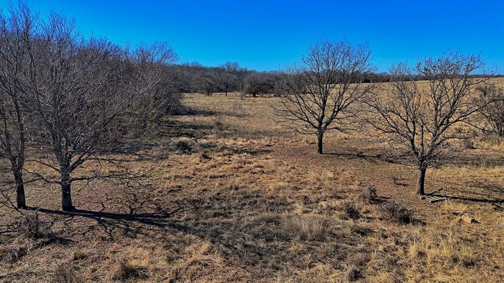 AB 3 ANGELINA CSL BLK 111 FREY UND 13 INT IN - Farm