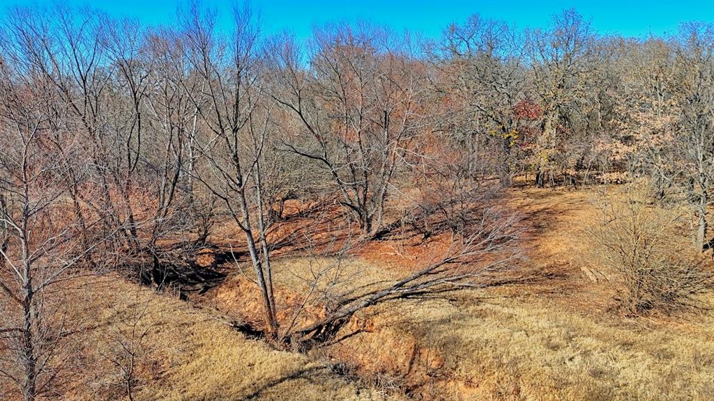 AB 3 ANGELINA CSL BLK 111 FREY UND 13 INT IN - Farm