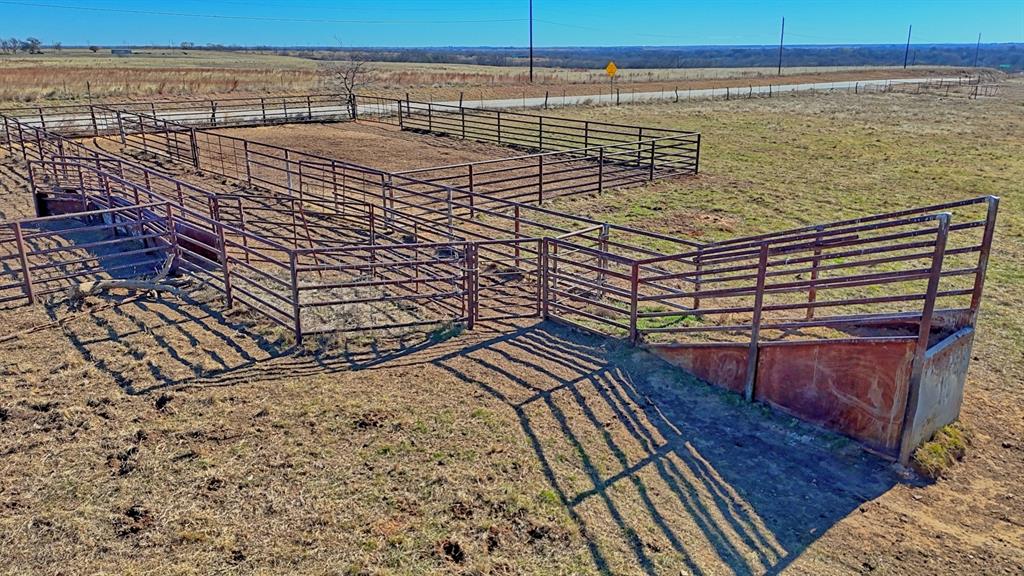 AB 3 ANGELINA CSL BLK 111 FREY UND 13 INT IN - Farm