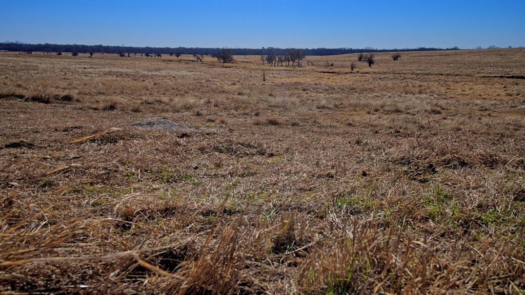 AB 3 ANGELINA CSL BLK 111 FREY UND 13 INT IN - Farm