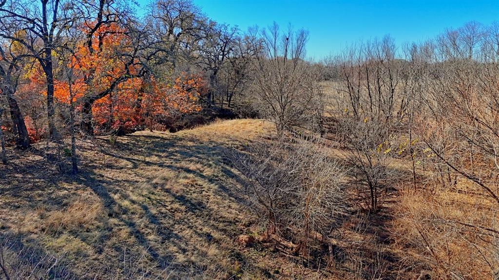 AB 3 ANGELINA CSL BLK 111 FREY UND 13 INT IN - Farm