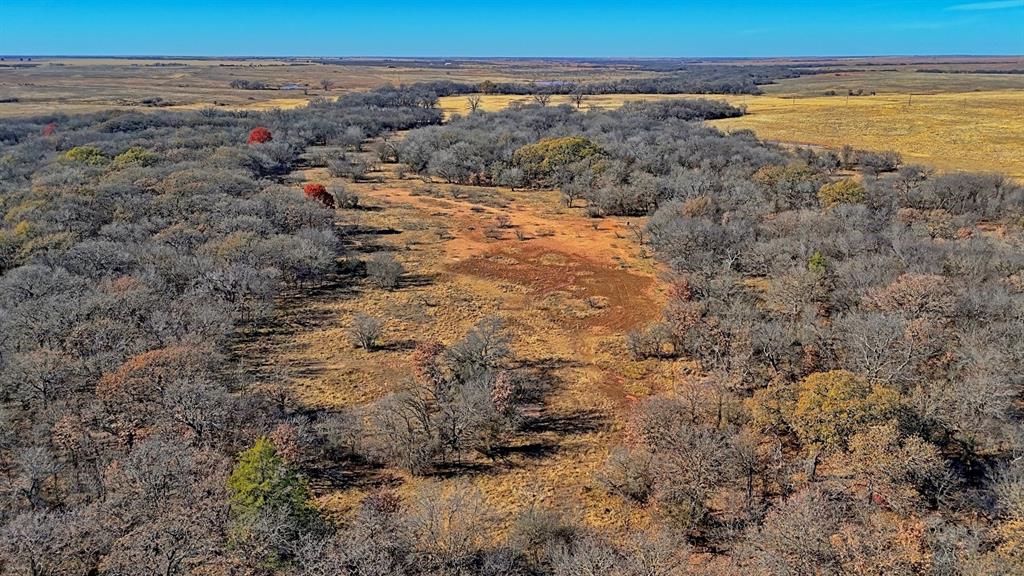 AB 3 ANGELINA CSL BLK 111 FREY UND 13 INT IN - Farm