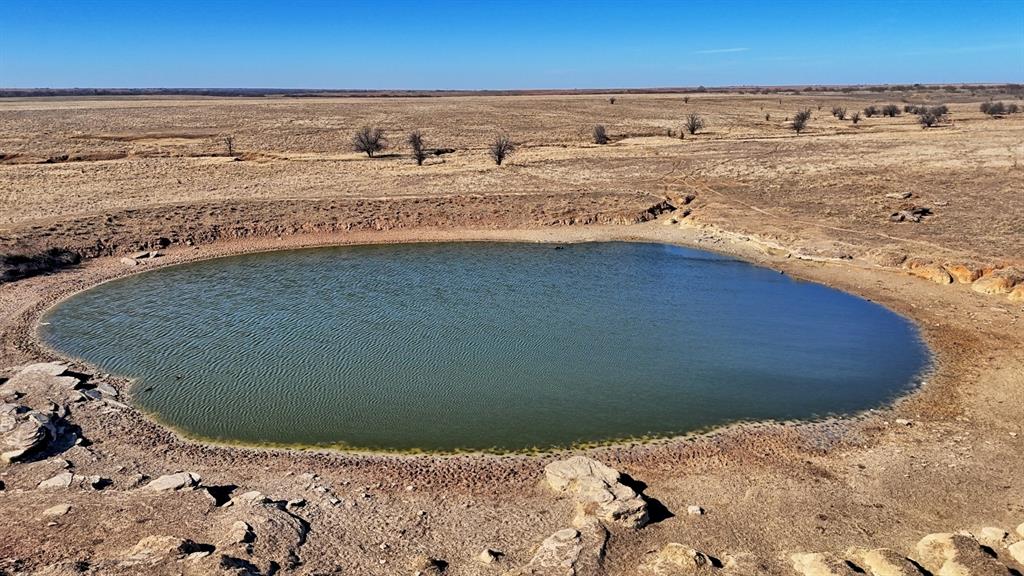 AB 3 ANGELINA CSL BLK 111 FREY UND 13 INT IN - Farm