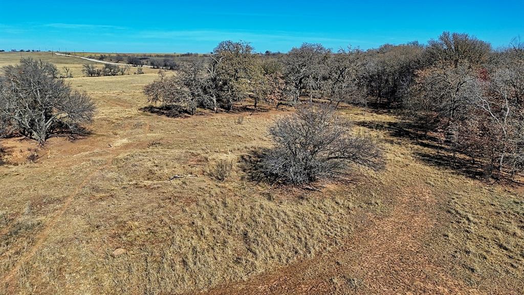 AB 3 ANGELINA CSL BLK 111 FREY UND 13 INT IN - Farm