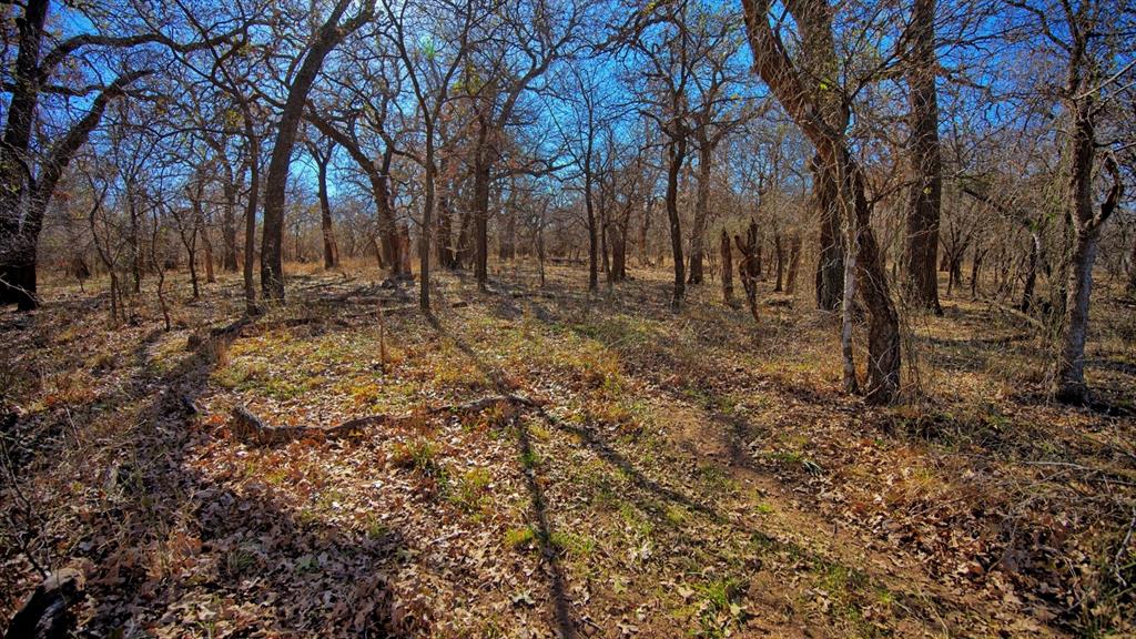 AB 3 ANGELINA CSL BLK 111 FREY UND 13 INT IN - Farm