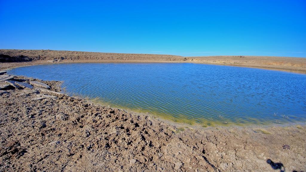 AB 3 ANGELINA CSL BLK 111 FREY UND 13 INT IN - Farm