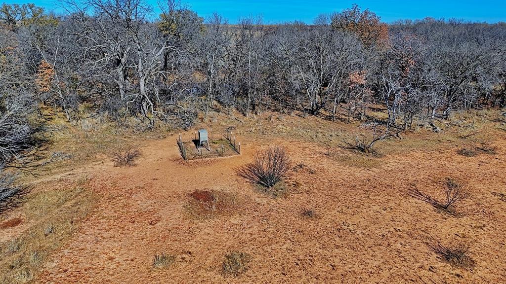 AB 3 ANGELINA CSL BLK 111 FREY UND 13 INT IN - Farm