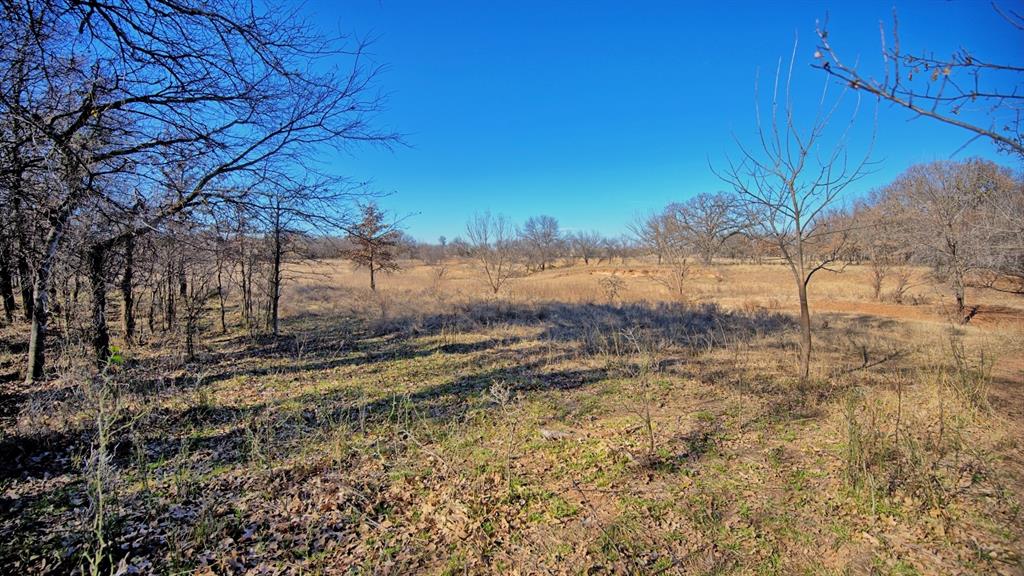 AB 3 ANGELINA CSL BLK 111 FREY UND 13 INT IN - Farm