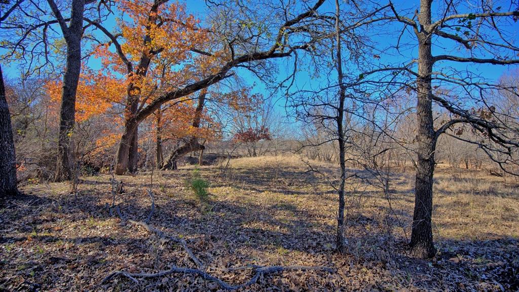 AB 3 ANGELINA CSL BLK 111 FREY UND 13 INT IN - Farm