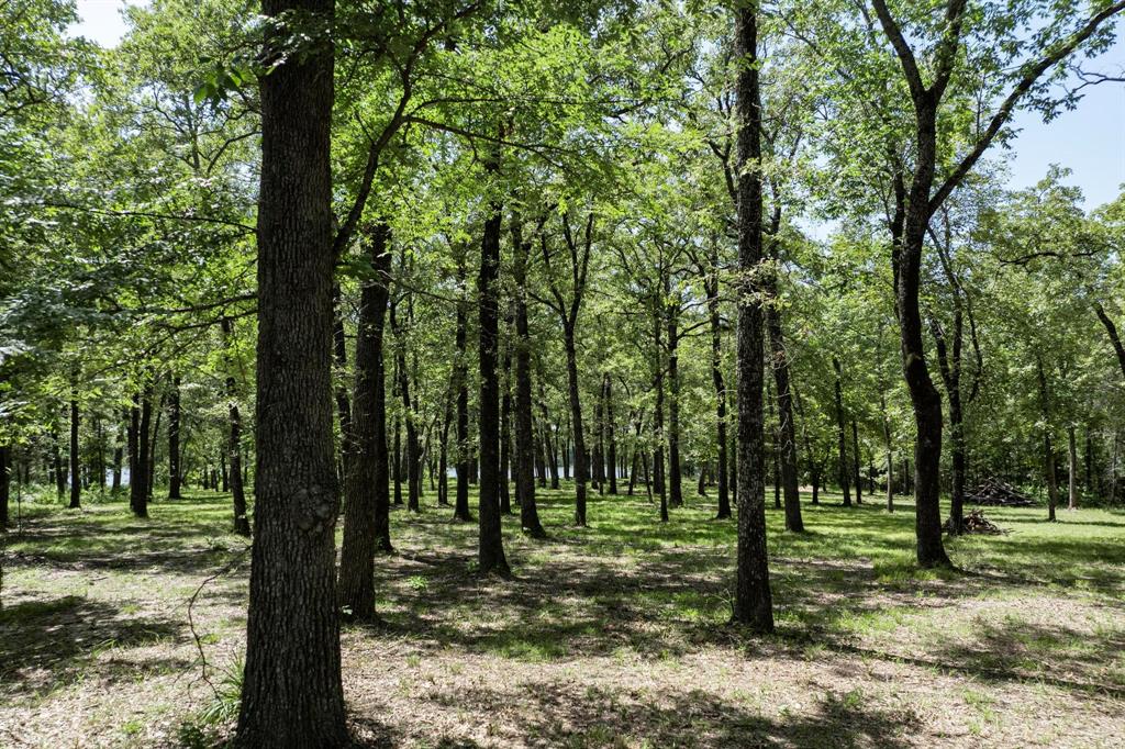 Nautical Shores - Land