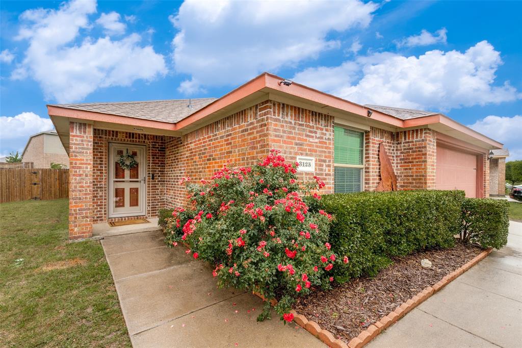 3125 Elam Drive