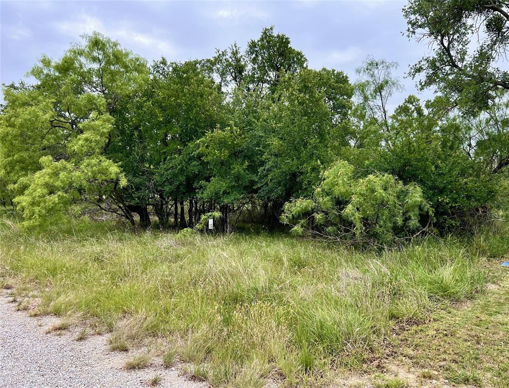 George Baughs Lake Brownwood - Land