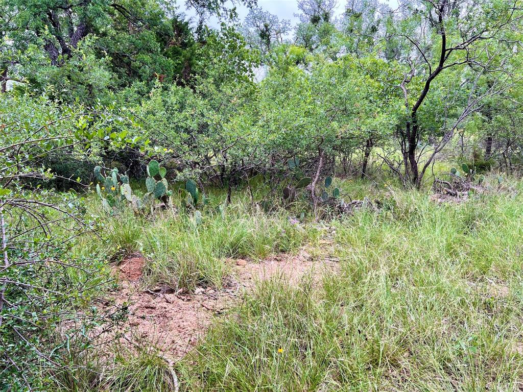 George Baughs Lake Brownwood - Land
