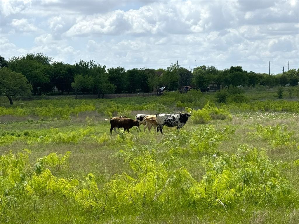 Walker Addition - Land