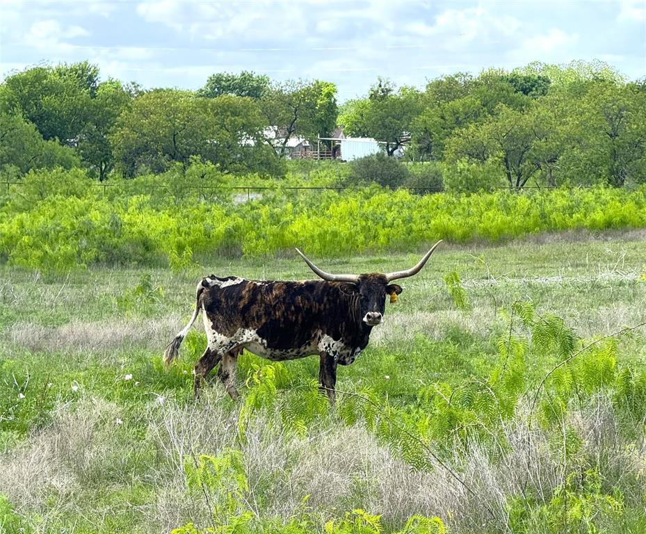 Walker Addition - Land