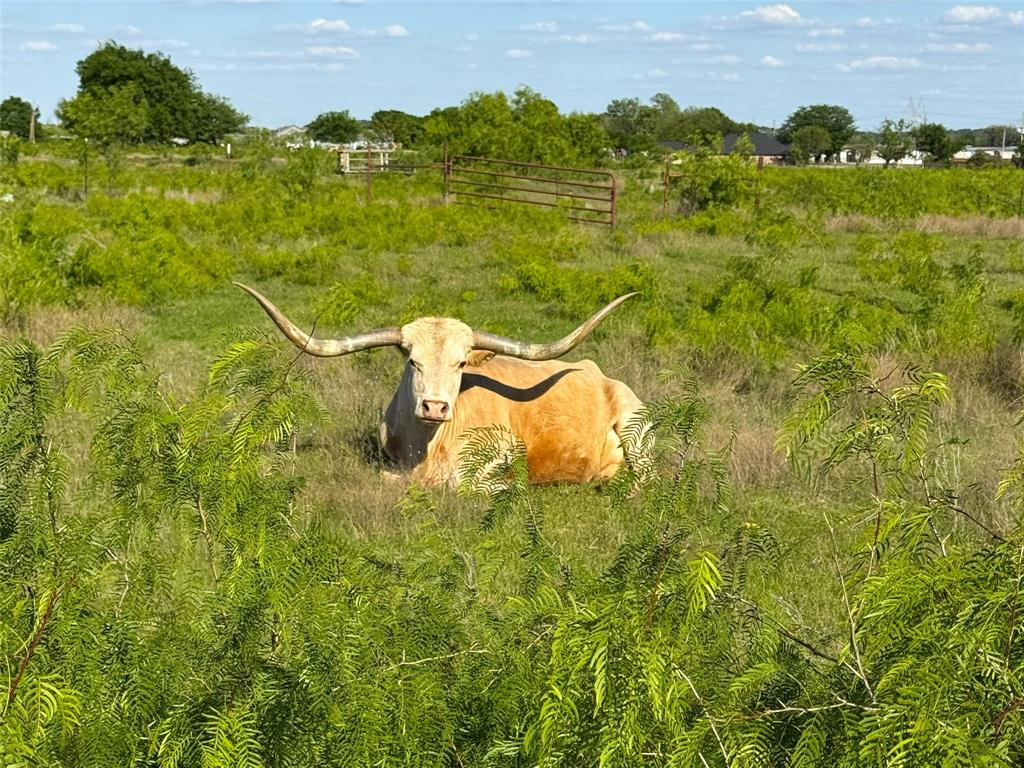 Walker Addition - Land