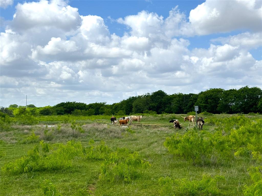 Walker Addition - Land