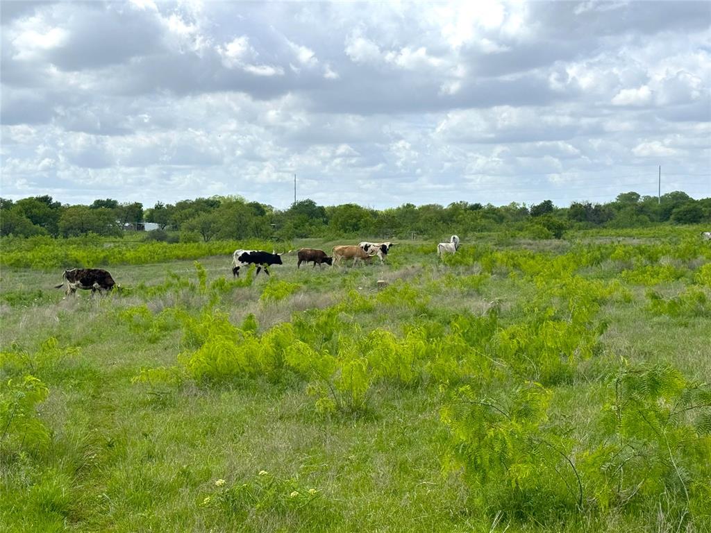 Walker Addition - Land