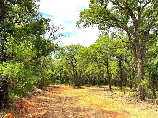 TURPIN LAKE RD, POOLVILLE, TX 76487 - Image e3bfa457bb35b056fc559bca52155f3b/4114798310