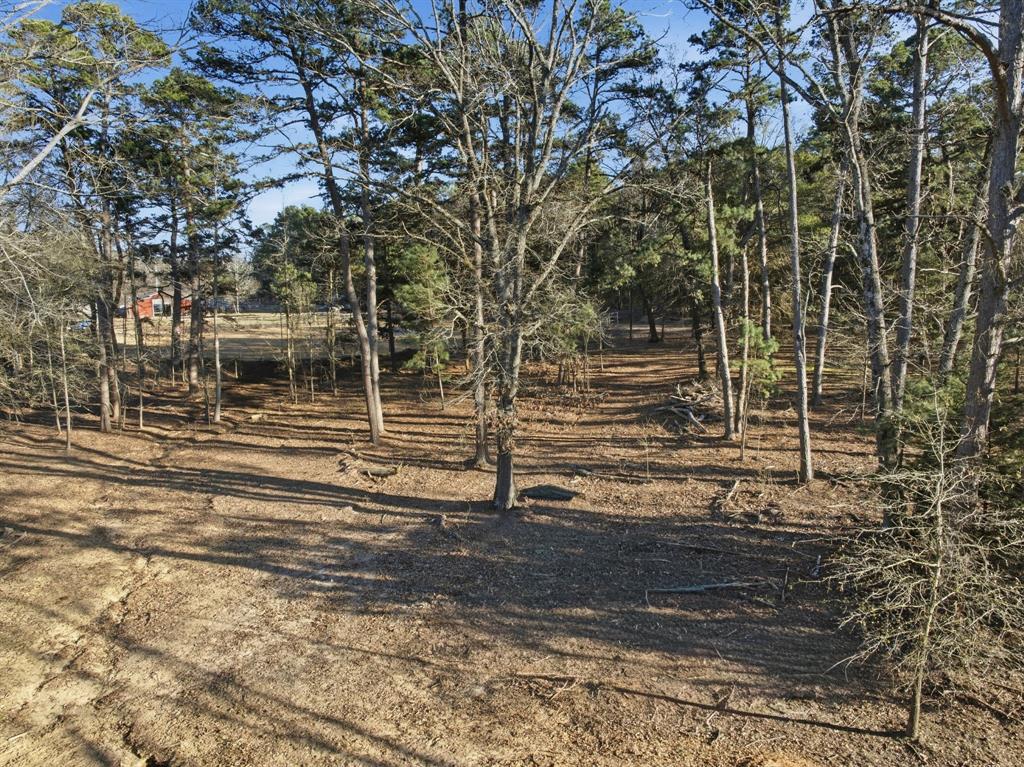 G W Stubblefield Surv Abs #896 - Residential