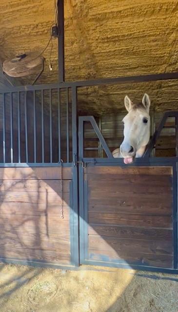 G W Stubblefield Surv Abs #896 - Residential