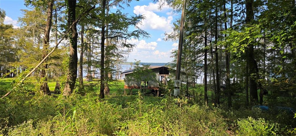 Ringgold, Louisiana 71068, United States, 1 Bedroom Bedrooms, ,1 BathroomBathrooms,Residential,Active,233184