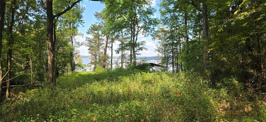 Ringgold, Louisiana 71068, United States, 1 Bedroom Bedrooms, ,1 BathroomBathrooms,Residential,Active,233184