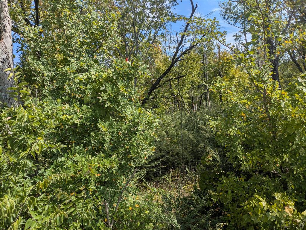 1201 W Fm 1382 Road