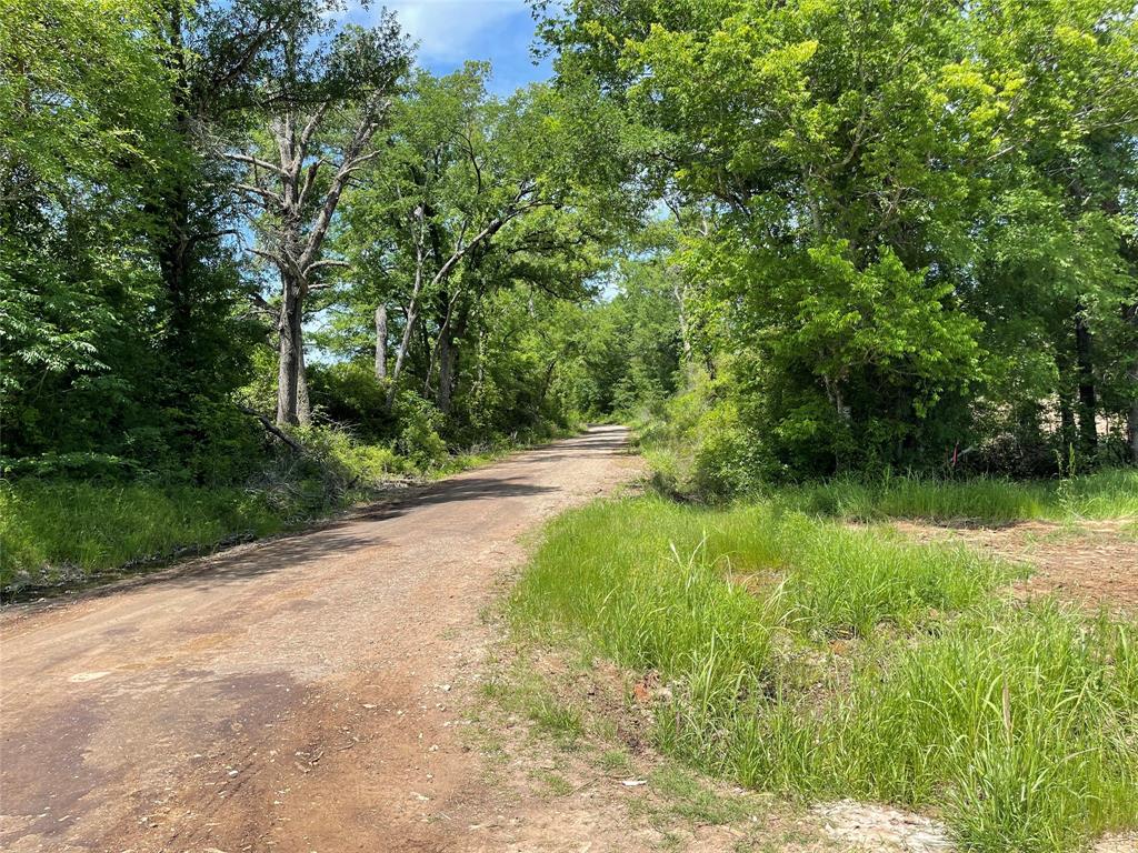 Tract 3 County Road 295