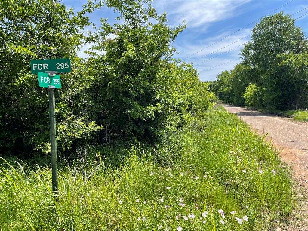 Tract 3 County Road 295