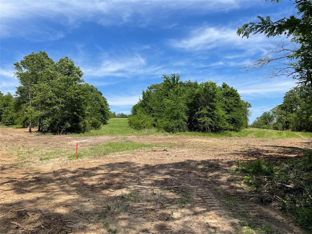 Tract 3 County Road 295