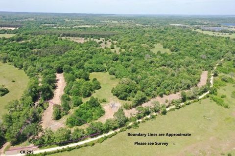 Tract 3 County Road 295 Oakwood TX 75855