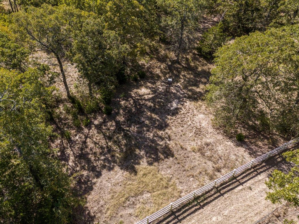 Williamson Leroy - Farm