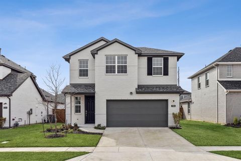 3113 Lucia Way Princeton TX 75407