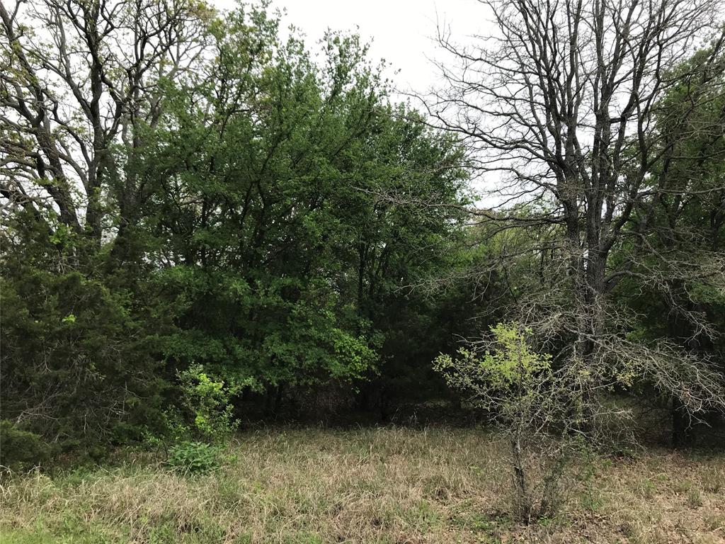 White Bluff #31 - Land