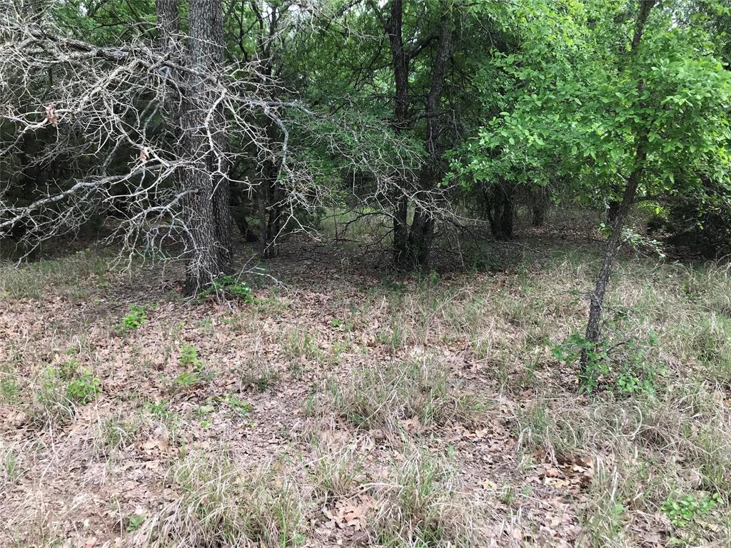 White Bluff #31 - Land