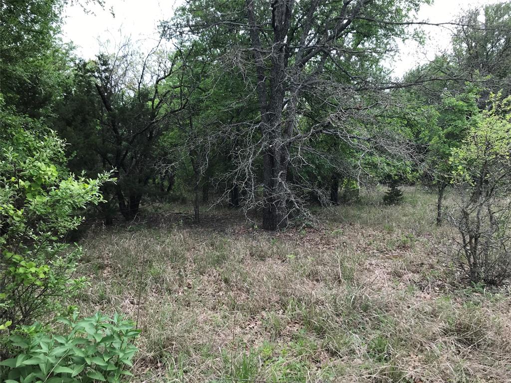 White Bluff #31 - Land