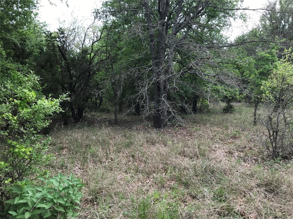 White Bluff #31 - Land