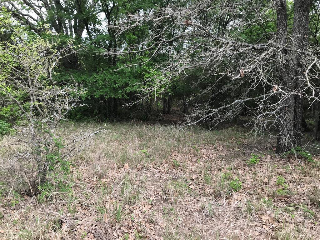 White Bluff #31 - Land