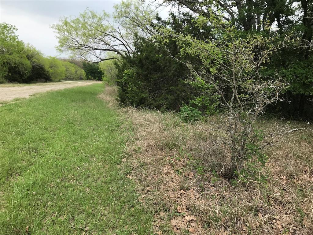 White Bluff #31 - Land