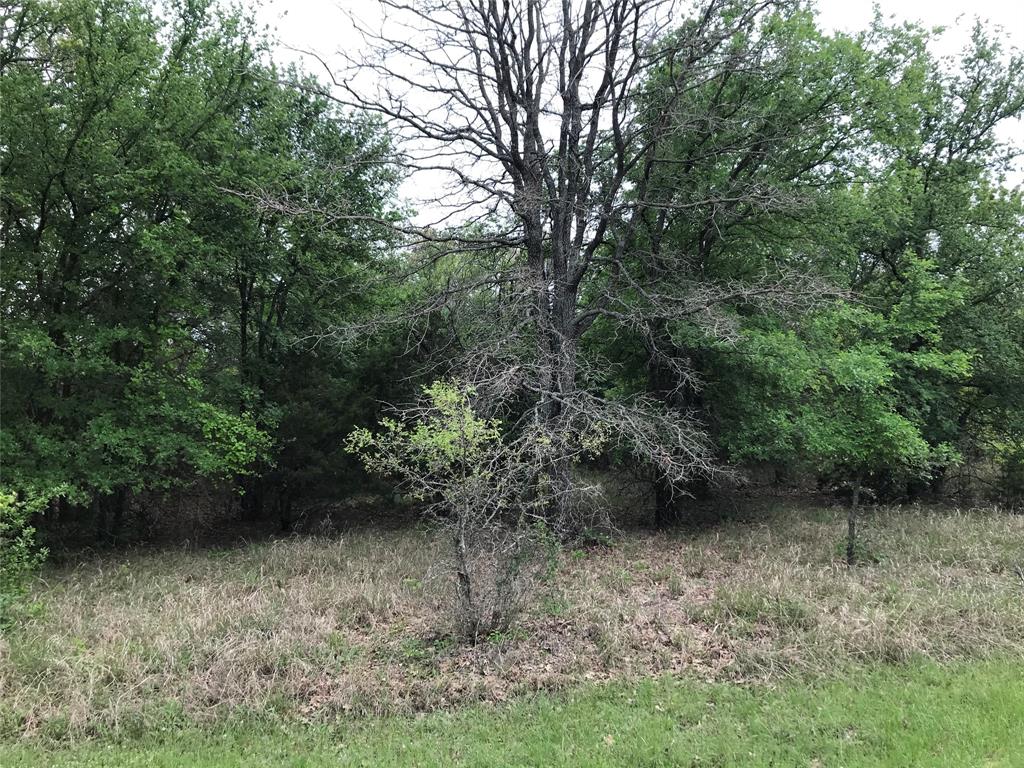 White Bluff #31 - Land