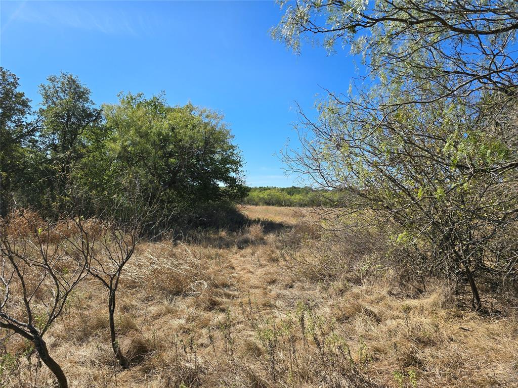 1343 County Road 188