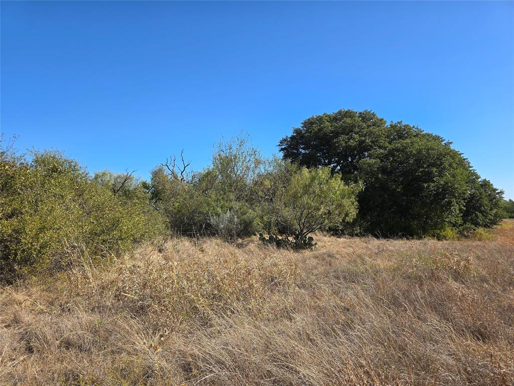 1343 County Road 188