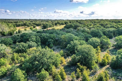 27.12 Acres 199 Highway Jacksboro TX 76458