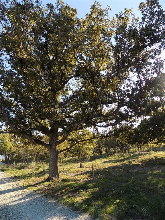 Anglers Point - Land