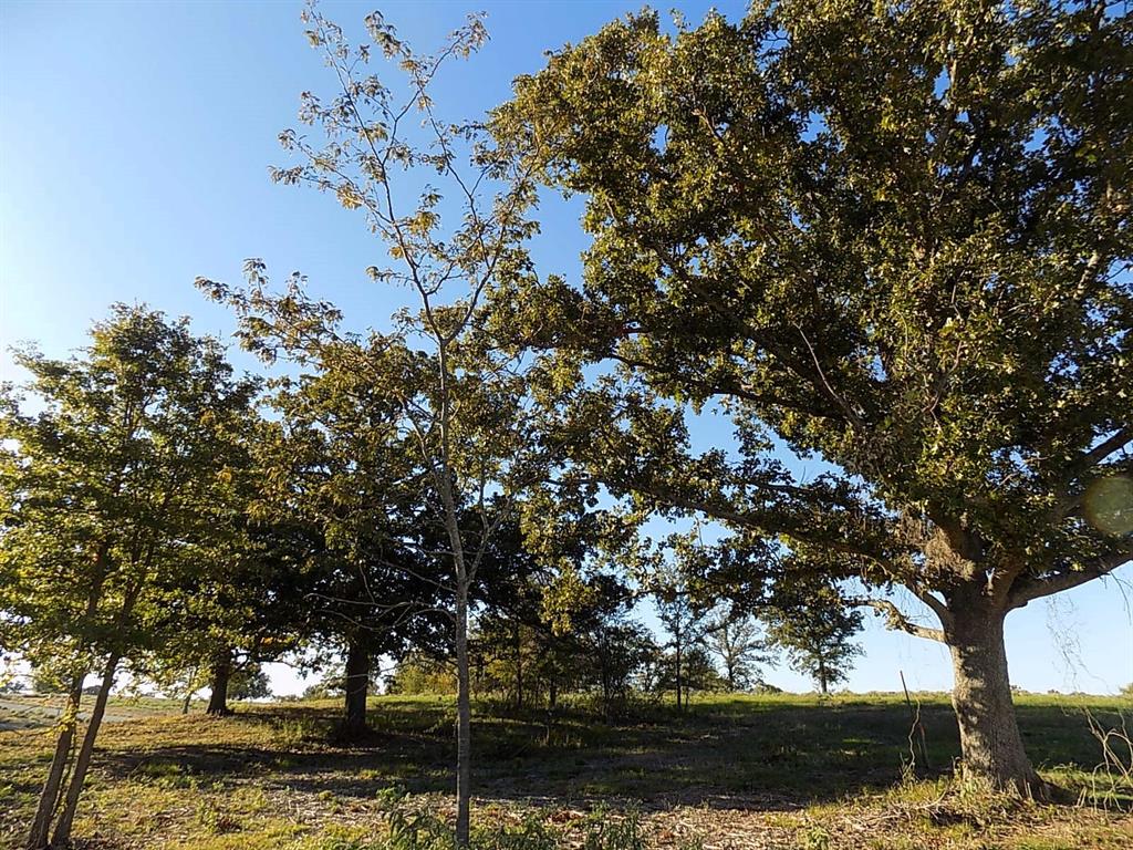 Anglers Point - Land