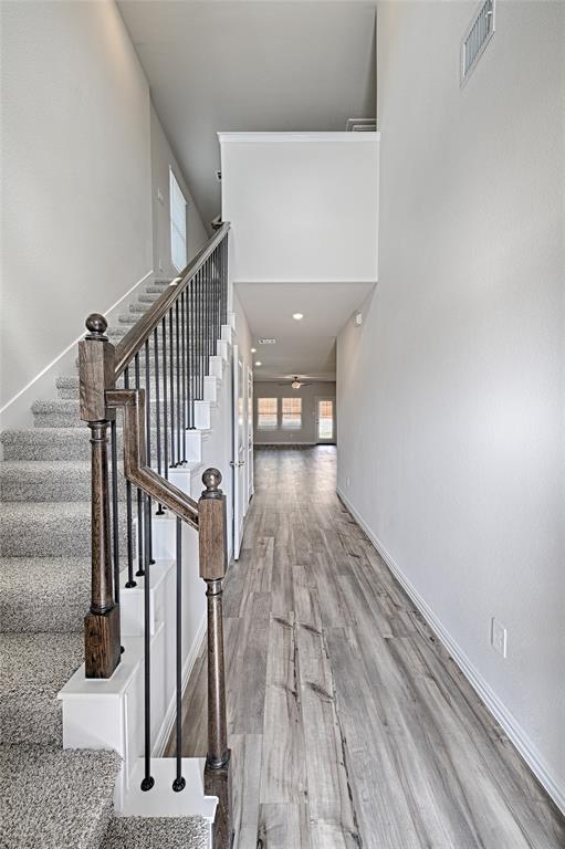 3110 Sedge Grass Drive